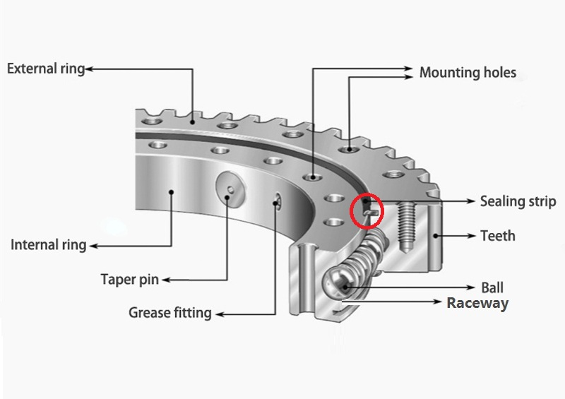 So ersetzen Sie die Schlimmungsringdichtung